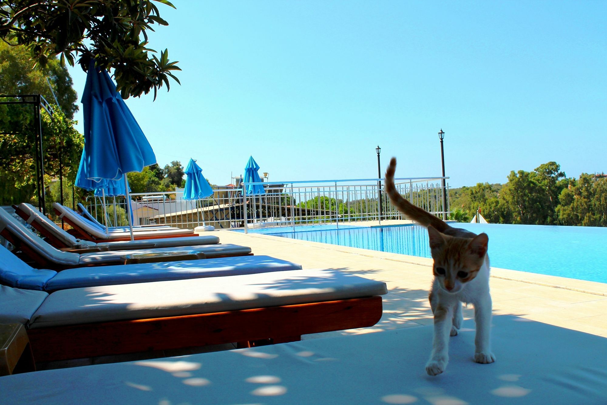 Hotel Patara Sun Club Kültér fotó